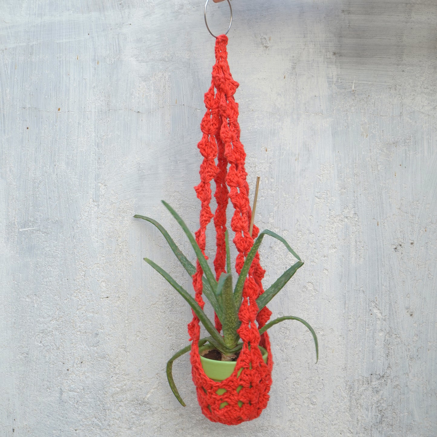 Crochet Single Colour Plant Hanger