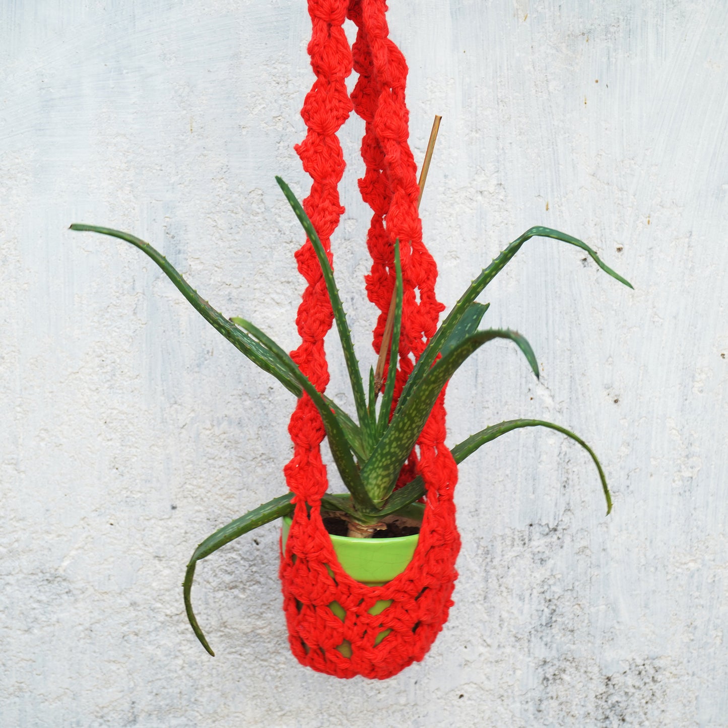 Crochet Single Colour Plant Hanger