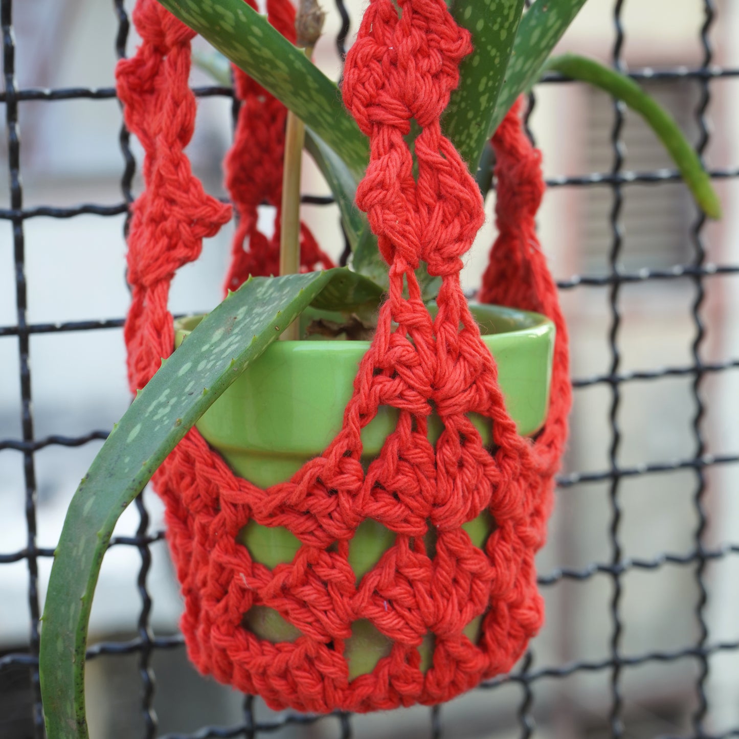 Crochet Single Colour Plant Hanger