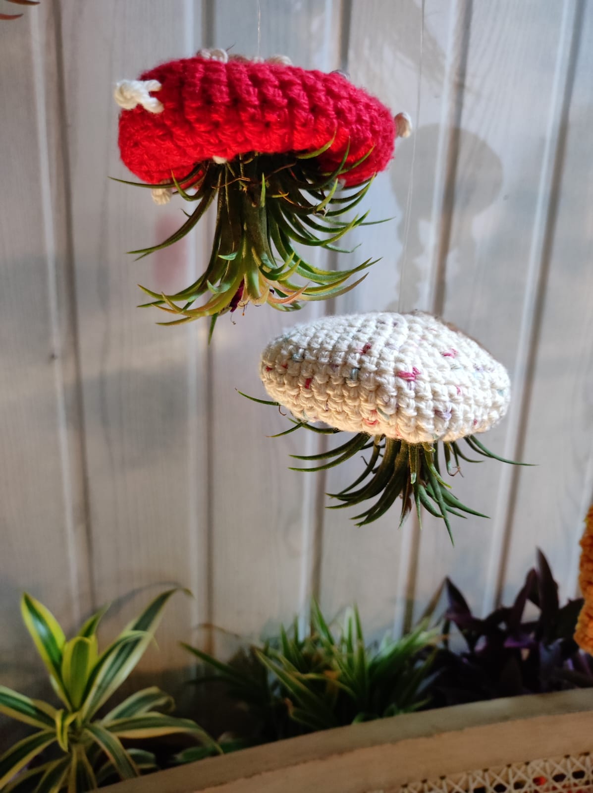 Jelly Fish Air Planter