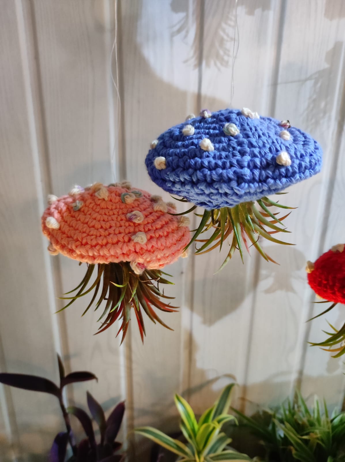 Jelly Fish Air Planter